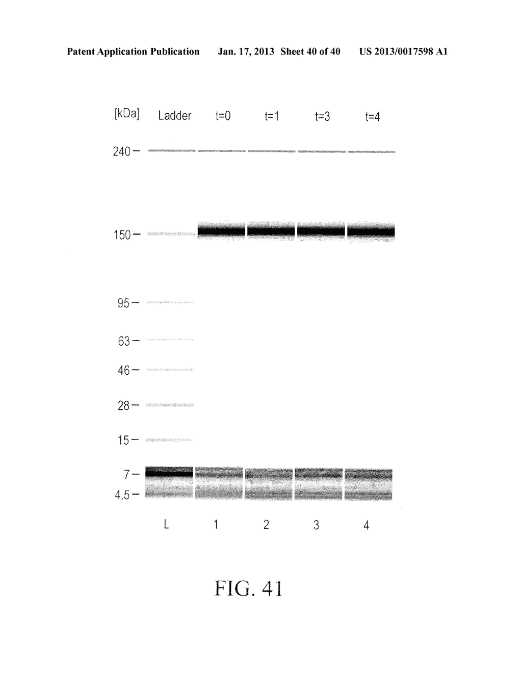 PREVENTION OF DISULFIDE BOND REDUCTION DURING RECOMBINANT PRODUCTION OF     POLYPEPTIDES - diagram, schematic, and image 41