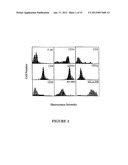 ISOLATION AND/OR PRESERVATION OF DENDRITIC CELLS FOR PROSTATE CANCER     IMMUNOTHERAPY diagram and image