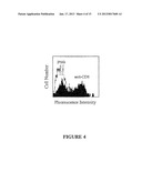 ISOLATION AND/OR PRESERVATION OF DENDRITIC CELLS FOR PROSTATE CANCER     IMMUNOTHERAPY diagram and image