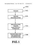 ENCAPSULATED TRACERS AND CHEMICALS FOR RESERVOIR INTERROGATION AND     MANIPULATION diagram and image