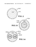 ENCAPSULATED TRACERS AND CHEMICALS FOR RESERVOIR INTERROGATION AND     MANIPULATION diagram and image