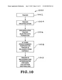 ENCAPSULATED TRACERS AND CHEMICALS FOR RESERVOIR INTERROGATION AND     MANIPULATION diagram and image