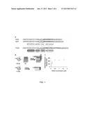 PEPTIDE PROBE FOR RAPID AND SPECIFIC DETECTION OF AMYLOID AGGREGATION diagram and image