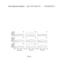 PEPTIDE PROBE FOR RAPID AND SPECIFIC DETECTION OF AMYLOID AGGREGATION diagram and image