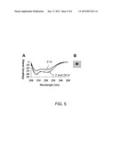 PEPTIDE PROBE FOR RAPID AND SPECIFIC DETECTION OF AMYLOID AGGREGATION diagram and image