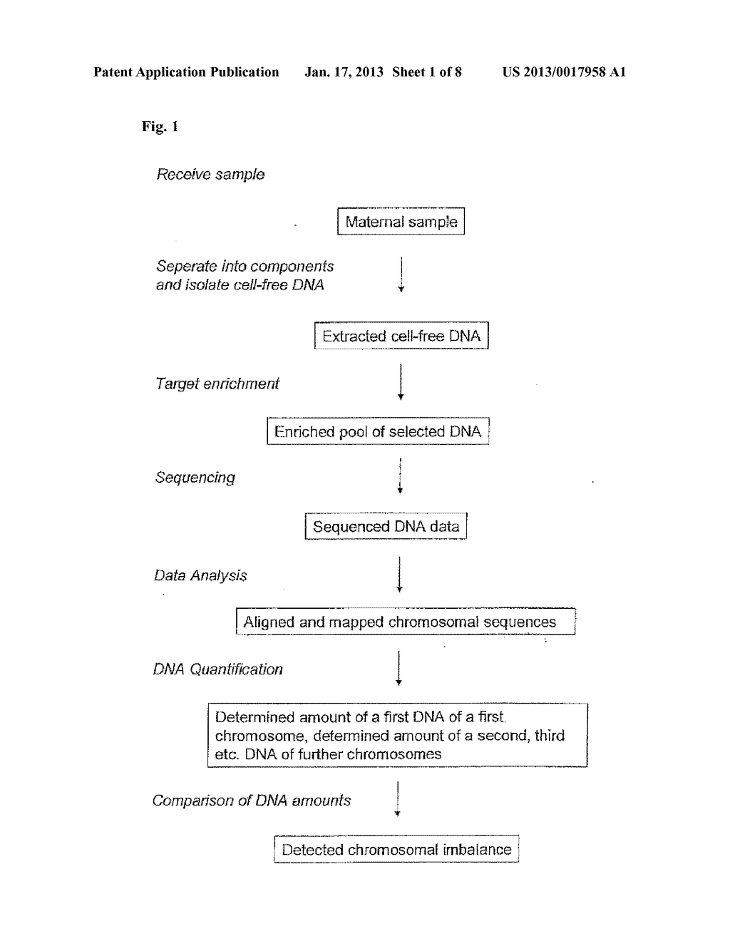 MEANS AND METHODS FOR NON-INVASIVE DIAGNOSIS OF CHROMOSOMAL ANEUPLOIDY - diagram, schematic, and image 02