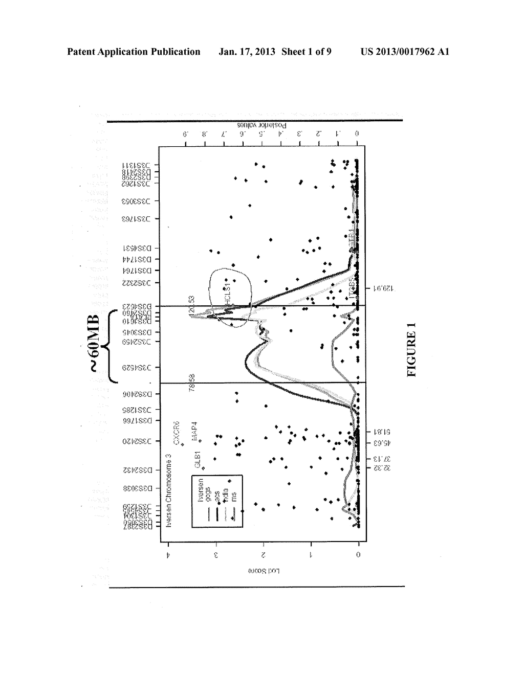 METHODS AND COMPOSITIONS FOR CORRELATING GENETIC MARKERS WITH     CARDIOVASCULAR DISEASE - diagram, schematic, and image 02