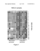 METHOD FOR DETERMINING SURIVIVAL PROGNOSIS OF PATIENTS SUFFERING FROM     NON-SMALL CELL LUNG CANCER (NSCLC)AANM De Wijn; RichardAACI NijmegenAACO NLAAGP De Wijn; Richard Nijmegen NLAANM Ruijtenbeek; RobbyAACI UtrechtAACO NLAAGP Ruijtenbeek; Robby Utrecht NLAANM Hilhorst; Maria HelenaAACI WageningenAACO NLAAGP Hilhorst; Maria Helena Wageningen NL diagram and image