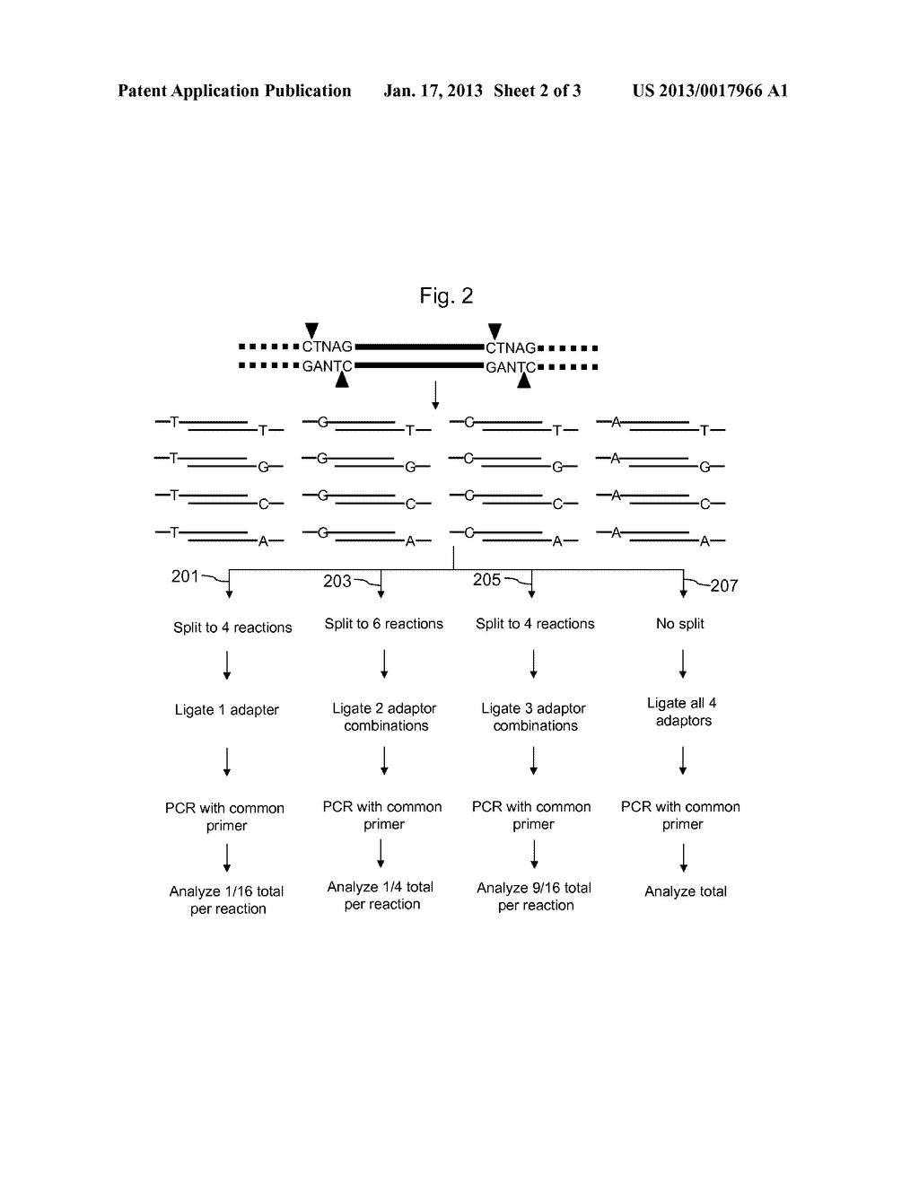 Methods for Genotyping with Selective Adaptor Ligation - diagram, schematic, and image 03