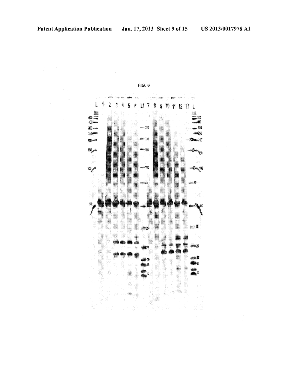 METHODS AND TRANSPOSON NUCLEIC ACIDS FOR GENERATING A DNA LIBRARY - diagram, schematic, and image 10