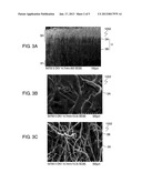 SENSOR SUBSTRATE AND ARRAY SUBSTRATE USING THE SAME diagram and image