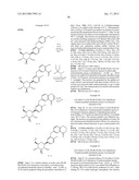 GLYCOSIDE DERIVATIVES AND USES THEREOF diagram and image