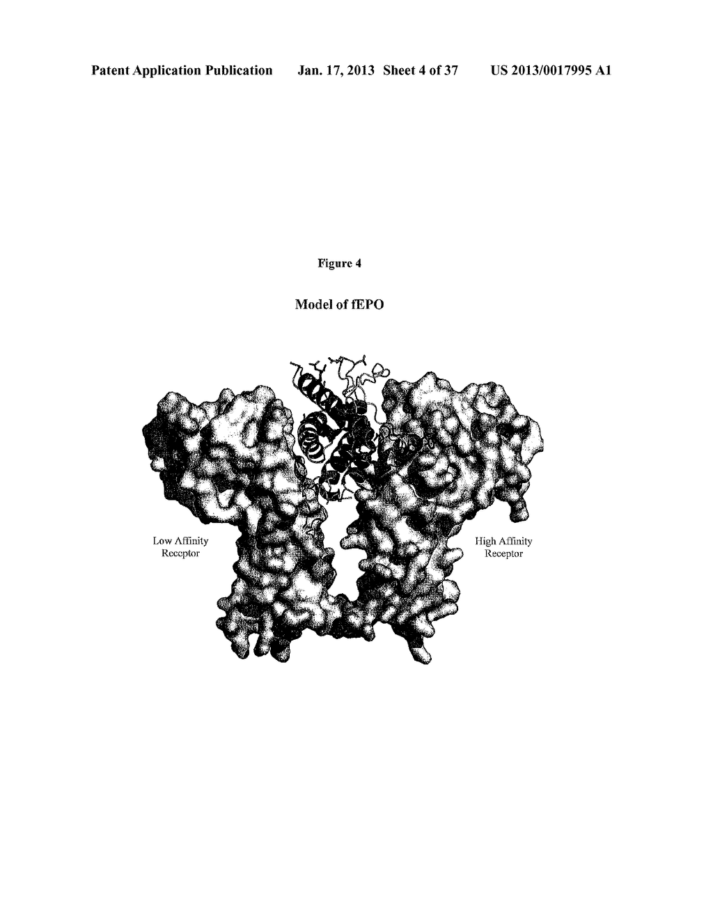 MODIFIED ANIMAL ERYTHROPOIETIN POLYPEPTIDES AND THEIR USES - diagram, schematic, and image 05