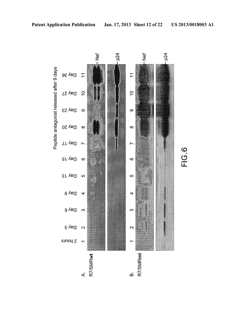 COMPOSITIONS AND METHODS FOR TREATING AIDS OR CANCER BY INHIBITING THE     SECRETION OF MICROPARTICLES - diagram, schematic, and image 13