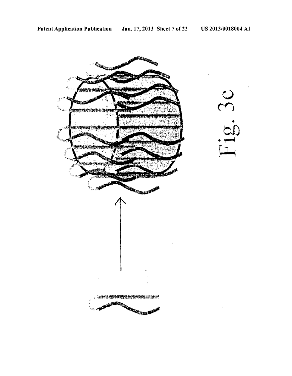 Novel Protein Peptide Hydrogels - diagram, schematic, and image 08