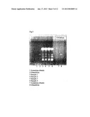 ANTI-OBESITY PRODUCT AND ITS METHOD OF PREPARATION diagram and image