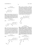 QUINOLINONE DERIVATIVES AS PARP AND TANK INHIBITORS diagram and image