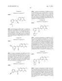 QUINOLINONE DERIVATIVES AS PARP AND TANK INHIBITORS diagram and image