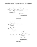 HALOGENATED PHENOLS FOR DIAGNOSTICS, ANTIOXIDANT PROTECTION AND DRUG     DELIVERY diagram and image