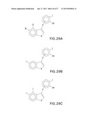 HALOGENATED PHENOLS FOR DIAGNOSTICS, ANTIOXIDANT PROTECTION AND DRUG     DELIVERY diagram and image