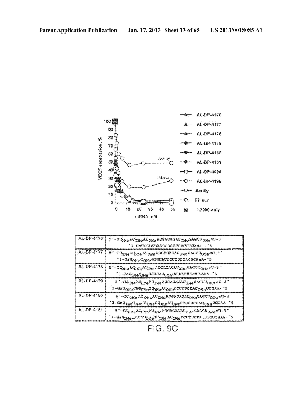 iRNA Agents Targeting VEGF - diagram, schematic, and image 14