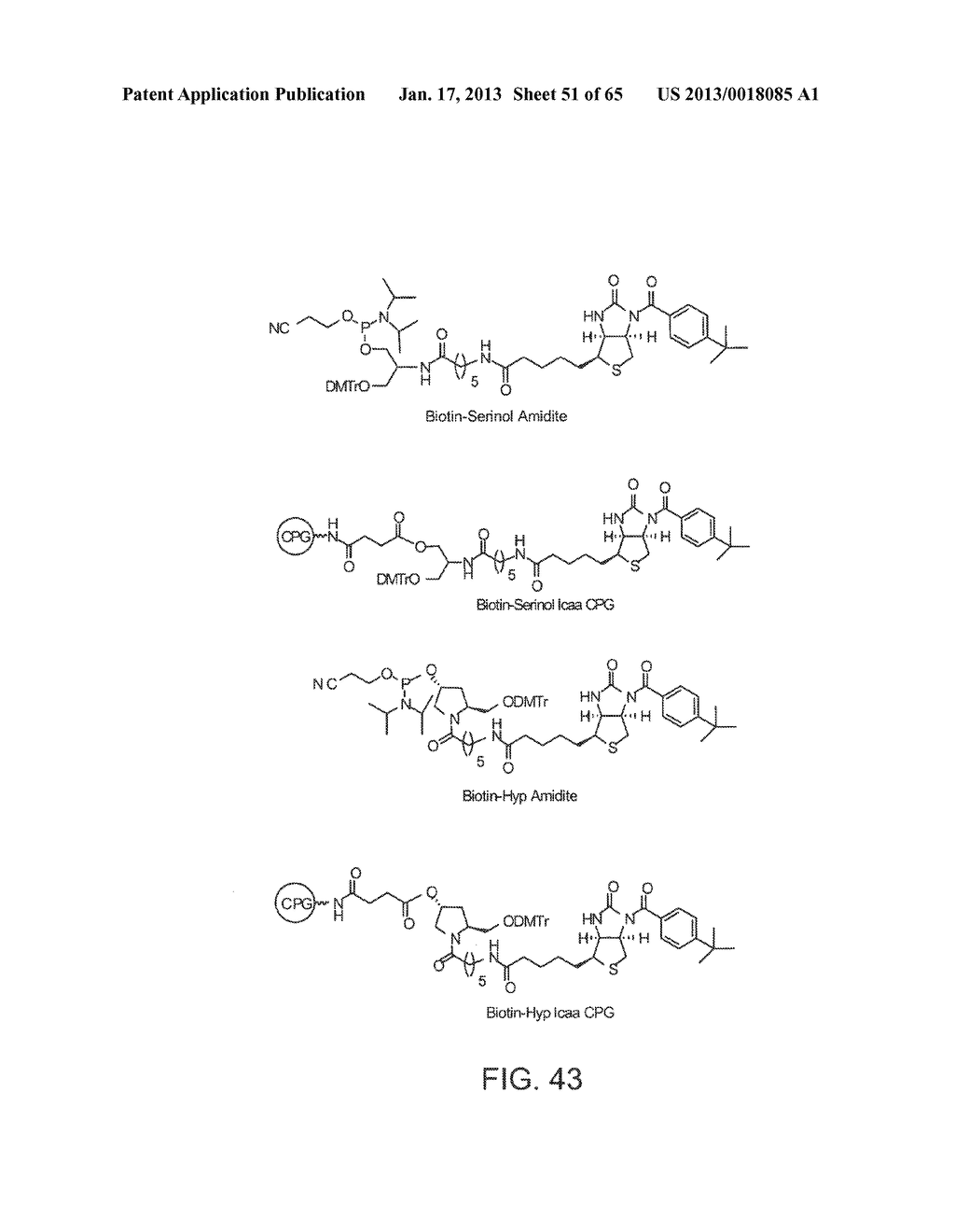 iRNA Agents Targeting VEGF - diagram, schematic, and image 52