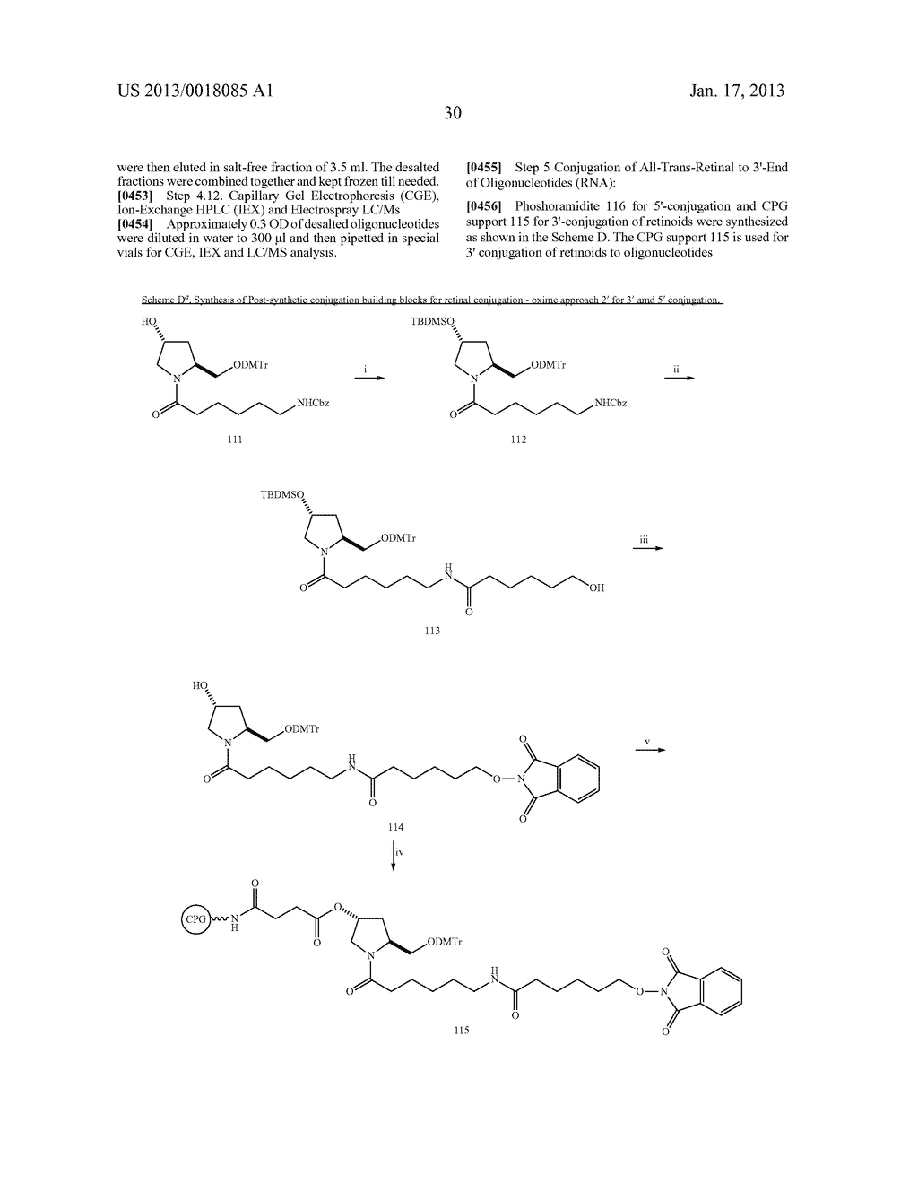 iRNA Agents Targeting VEGF - diagram, schematic, and image 96