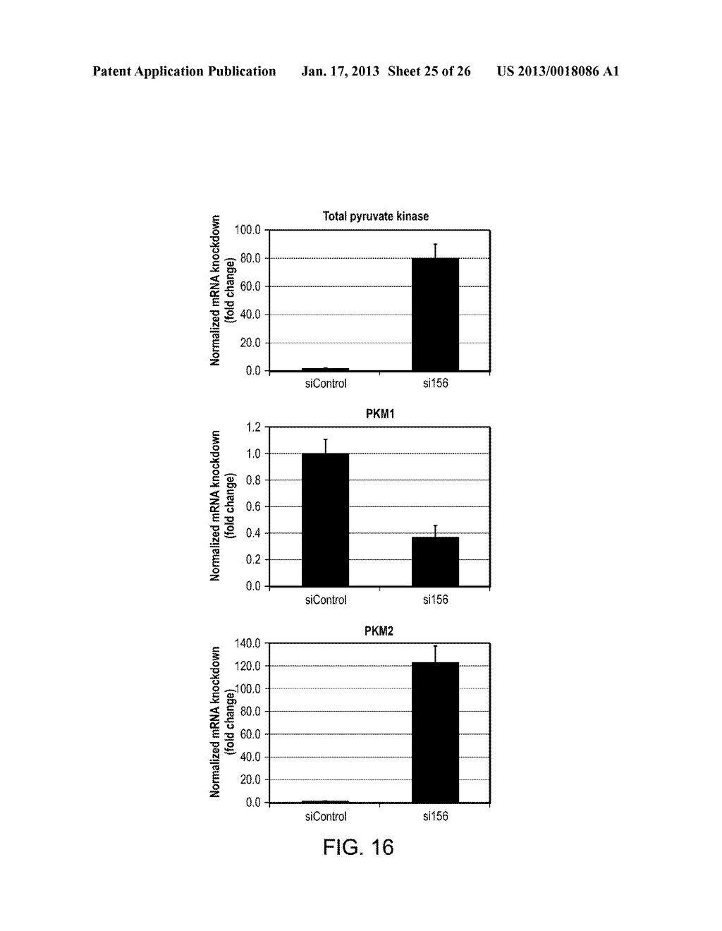 SIRNAS TARGETING EXON 10 OF PYRUVATE KINASE M2 - diagram, schematic, and image 26