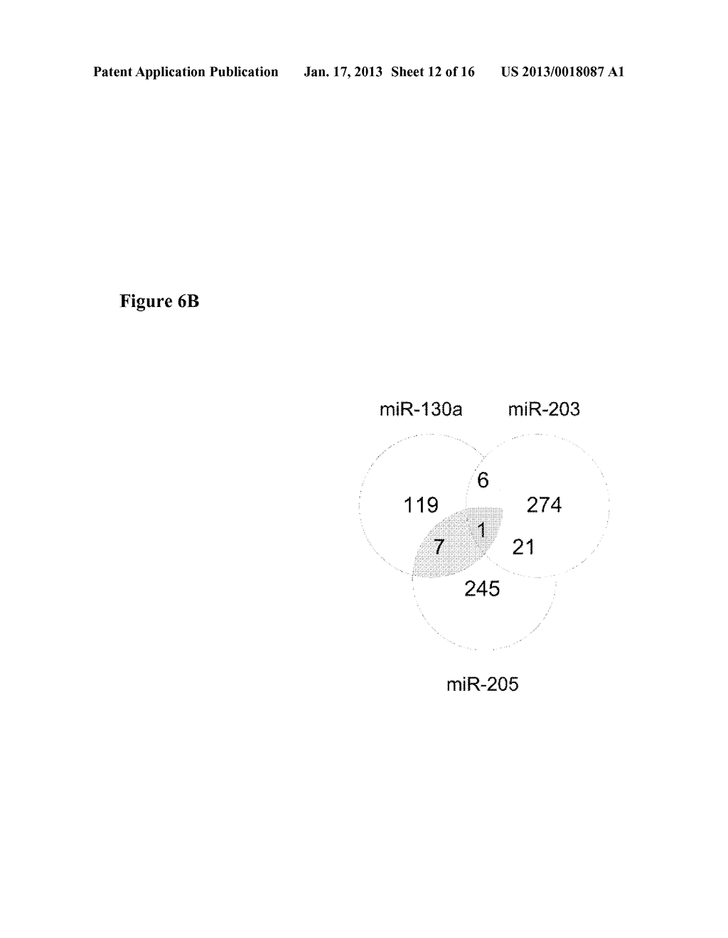 miRNA Compounds for Treatment of Prostate CarcinomaAANM Boll; KerstinAACI LeipzigAACO DEAAGP Boll; Kerstin Leipzig DEAANM Horn; FriedemannAACI LeipzigAACO DEAAGP Horn; Friedemann Leipzig DEAANM Hackermuller; JorgAACI LeipzigAACO DEAAGP Hackermuller; Jorg Leipzig DE - diagram, schematic, and image 13