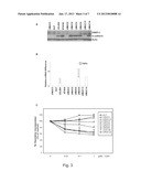 METHODS AND COMPOSITIONS FOR ANTI-EGFR TREATMENT diagram and image