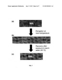 BIODEGRADABLE AND BIOCOMPATIBLE SHAPE MEMORY POLYMERS diagram and image