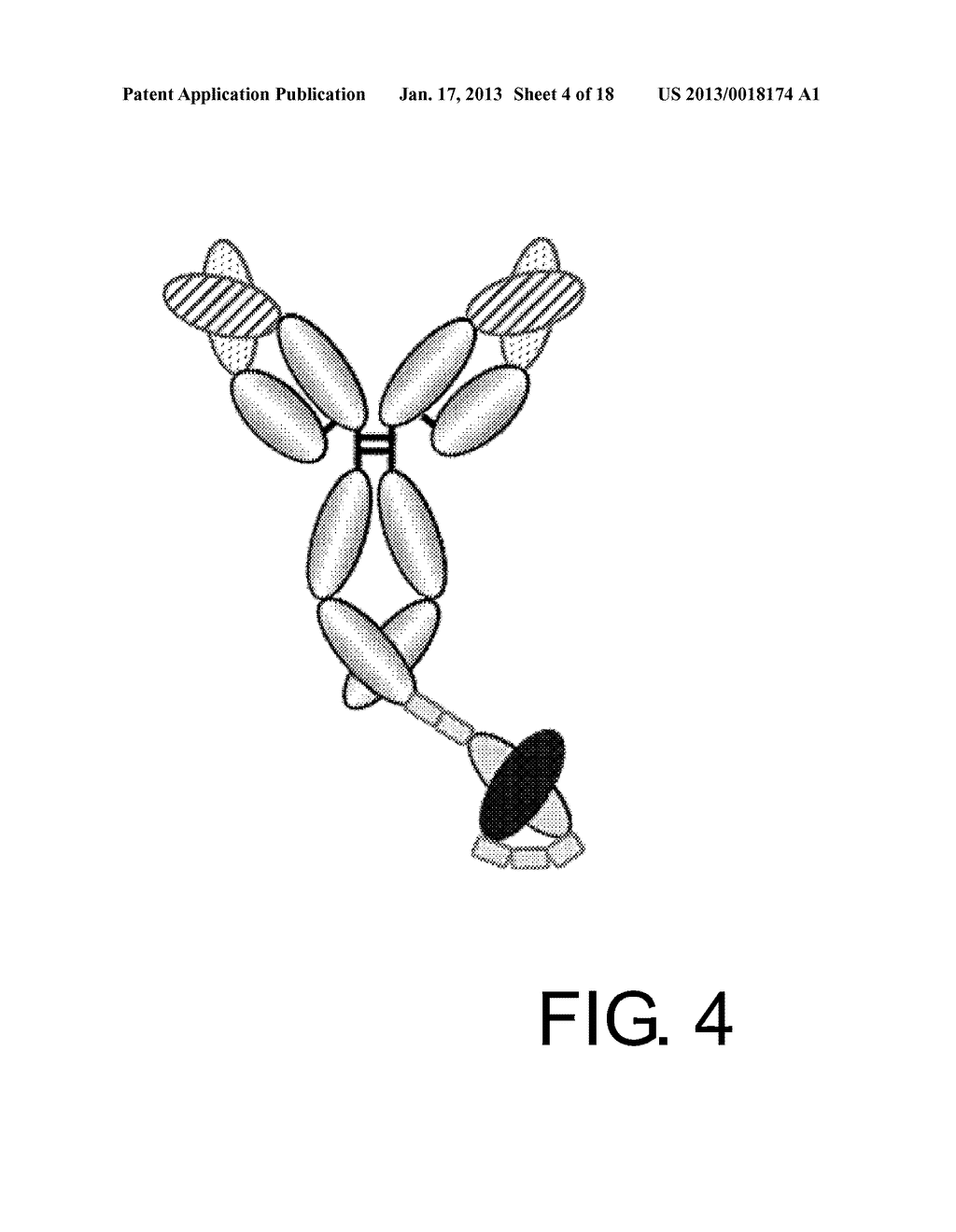 POLYPEPTIDE MODIFICATION METHOD FOR PURIFYING POLYPEPTIDE MULTIMERSAANM Igawa; TomoyukiAACI ShizuokaAACO JPAAGP Igawa; Tomoyuki Shizuoka JPAANM Sampei; ZenjiroAACI ShizuokaAACO JPAAGP Sampei; Zenjiro Shizuoka JPAANM Wakabayashi; TetsuyaAACI ShizuokaAACO JPAAGP Wakabayashi; Tetsuya Shizuoka JPAANM Ito; ErikoAACI ShizuokaAACO JPAAGP Ito; Eriko Shizuoka JP - diagram, schematic, and image 05