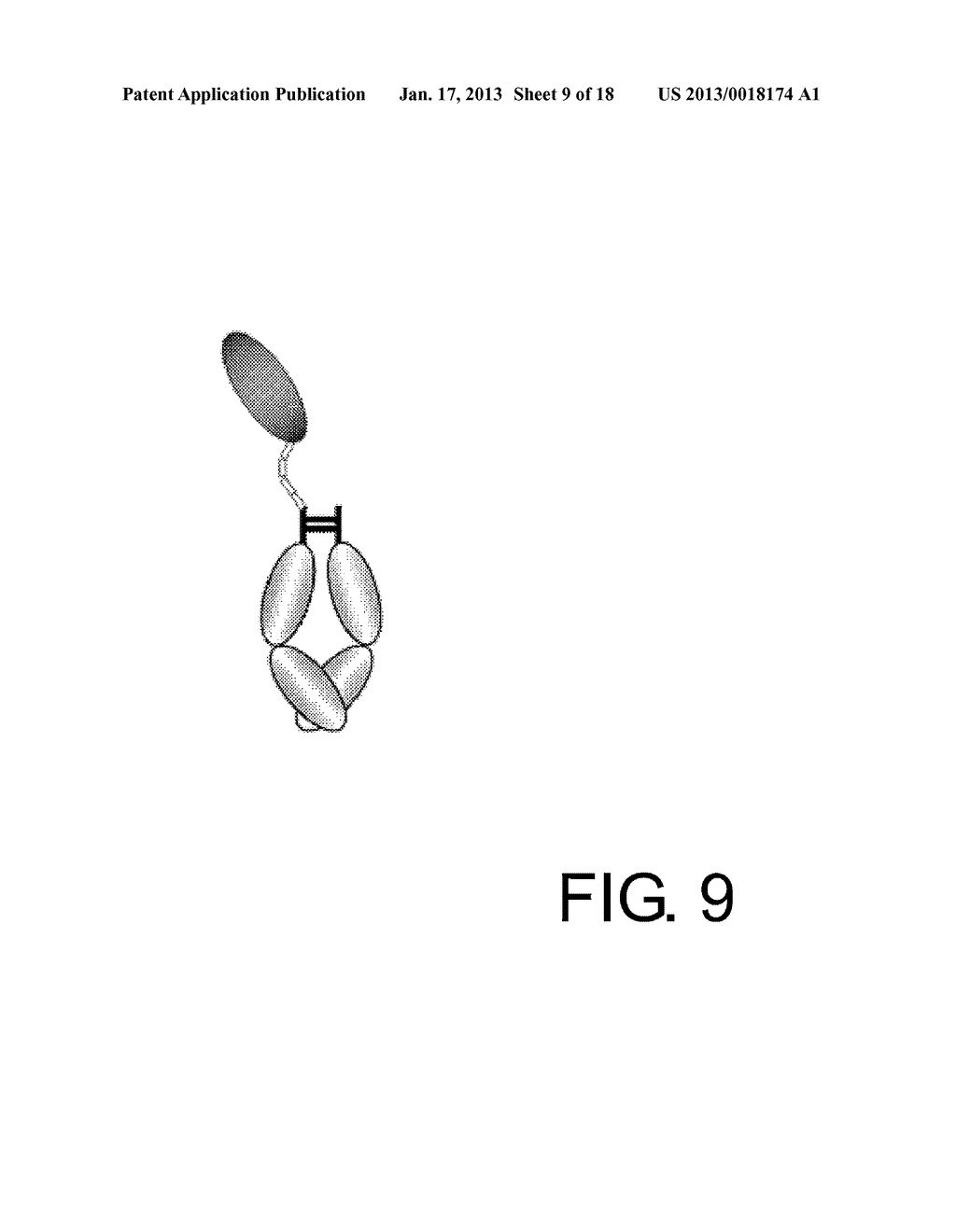 POLYPEPTIDE MODIFICATION METHOD FOR PURIFYING POLYPEPTIDE MULTIMERSAANM Igawa; TomoyukiAACI ShizuokaAACO JPAAGP Igawa; Tomoyuki Shizuoka JPAANM Sampei; ZenjiroAACI ShizuokaAACO JPAAGP Sampei; Zenjiro Shizuoka JPAANM Wakabayashi; TetsuyaAACI ShizuokaAACO JPAAGP Wakabayashi; Tetsuya Shizuoka JPAANM Ito; ErikoAACI ShizuokaAACO JPAAGP Ito; Eriko Shizuoka JP - diagram, schematic, and image 10