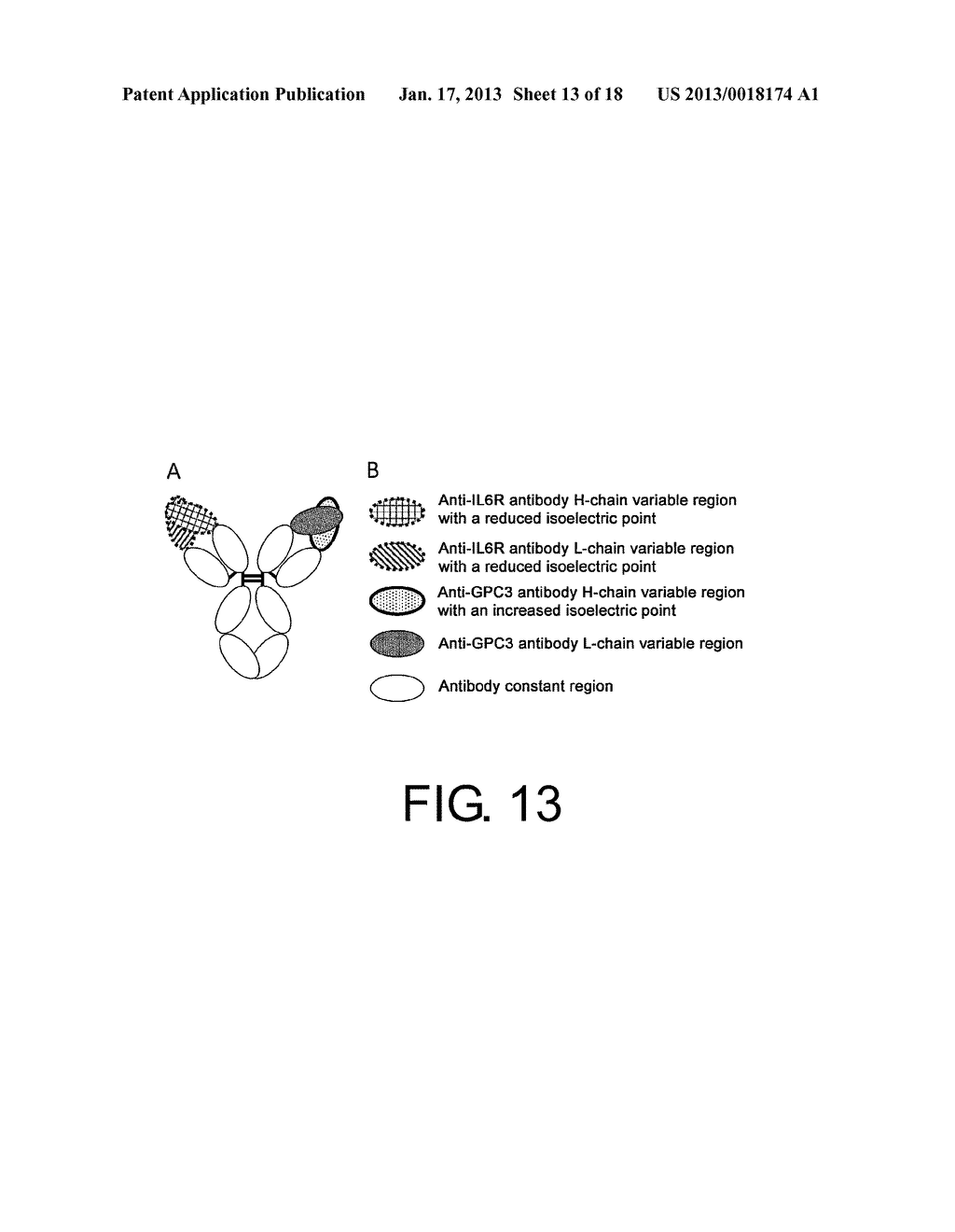 POLYPEPTIDE MODIFICATION METHOD FOR PURIFYING POLYPEPTIDE MULTIMERSAANM Igawa; TomoyukiAACI ShizuokaAACO JPAAGP Igawa; Tomoyuki Shizuoka JPAANM Sampei; ZenjiroAACI ShizuokaAACO JPAAGP Sampei; Zenjiro Shizuoka JPAANM Wakabayashi; TetsuyaAACI ShizuokaAACO JPAAGP Wakabayashi; Tetsuya Shizuoka JPAANM Ito; ErikoAACI ShizuokaAACO JPAAGP Ito; Eriko Shizuoka JP - diagram, schematic, and image 14