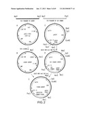 Production of Sialylated N-Glycans in Lower Eukaryotes diagram and image