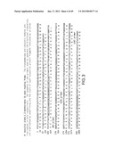 Production of Sialylated N-Glycans in Lower Eukaryotes diagram and image