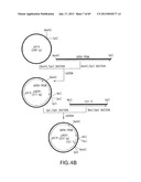 Production of Sialylated N-Glycans in Lower Eukaryotes diagram and image