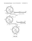 Production of Sialylated N-Glycans in Lower Eukaryotes diagram and image