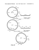 Production of Sialylated N-Glycans in Lower Eukaryotes diagram and image