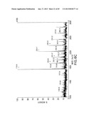 Production of Sialylated N-Glycans in Lower Eukaryotes diagram and image