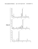 Production of Sialylated N-Glycans in Lower Eukaryotes diagram and image