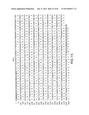 Production of Sialylated N-Glycans in Lower Eukaryotes diagram and image