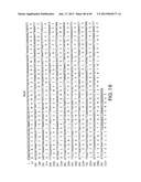 Production of Sialylated N-Glycans in Lower Eukaryotes diagram and image