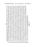 Production of Sialylated N-Glycans in Lower Eukaryotes diagram and image