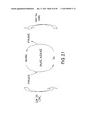 Production of Sialylated N-Glycans in Lower Eukaryotes diagram and image