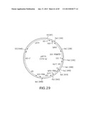 Production of Sialylated N-Glycans in Lower Eukaryotes diagram and image