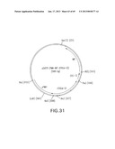 Production of Sialylated N-Glycans in Lower Eukaryotes diagram and image