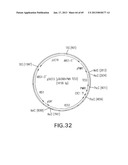 Production of Sialylated N-Glycans in Lower Eukaryotes diagram and image