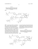 PROCESSES FOR THE CONVERGENT SYNTHESIS OF CALICHEAMICIN DERIVATIVES diagram and image