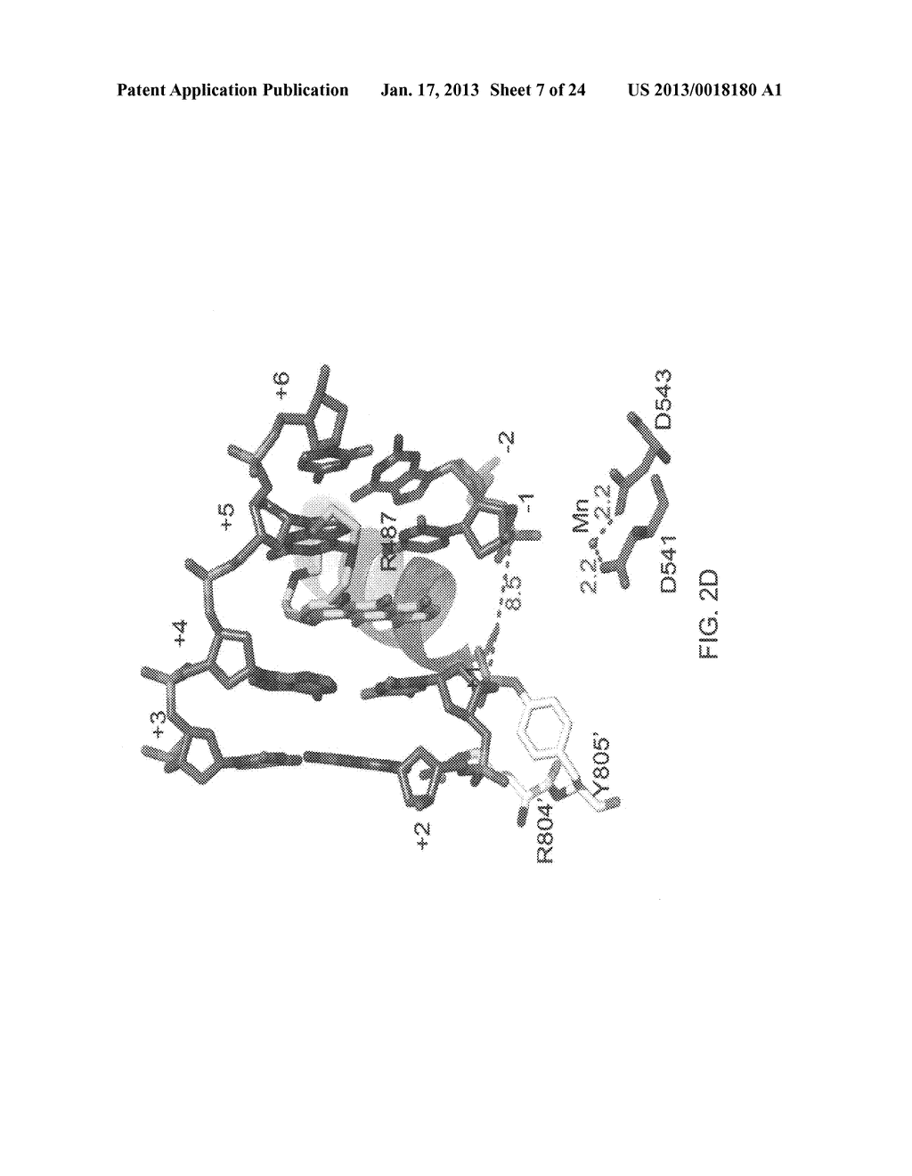 CRYSTALS OF HUMAN TOPOISOMERASE II-DNA BINARY COMPLEX, METHODS FOR     PREPARING THE SAME AND USES THEREOF - diagram, schematic, and image 08